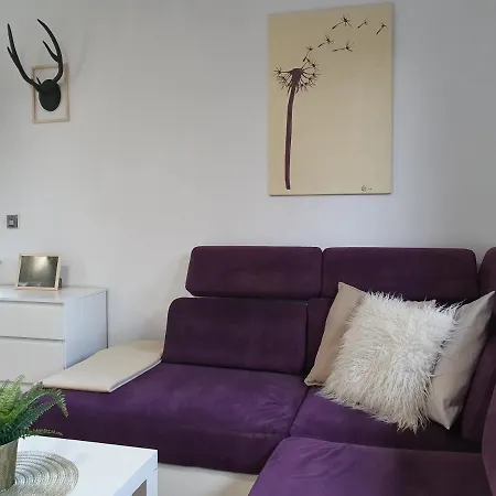 Studio Gdansk Oliwa Διαμέρισμα